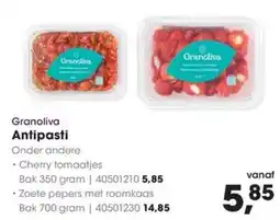 Hanos Granoliva Antipasti aanbieding