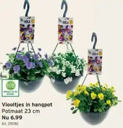 GAMMA Viooltjes in hangpot aanbieding