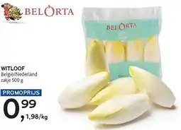 Alvo Witloof aanbieding