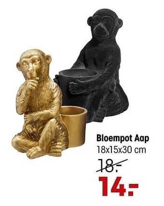Kwantum Bloempot aap aanbieding