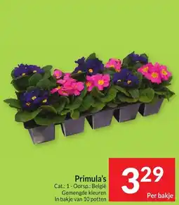 Intermarché Primula's aanbieding