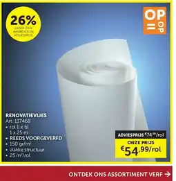 Zelfbouwmarkt RENOVATIEVLIES aanbieding