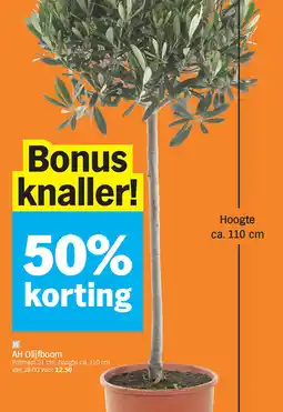 Albert Heijn AH Olijfboom aanbieding