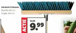 Intratuin Intratuin X-bezem aanbieding