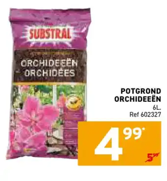 Potgrond orchideeën