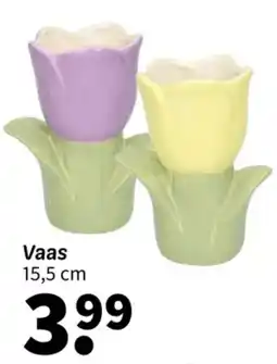 Wibra Vaas aanbieding