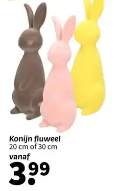 Wibra Konijn fluweel aanbieding