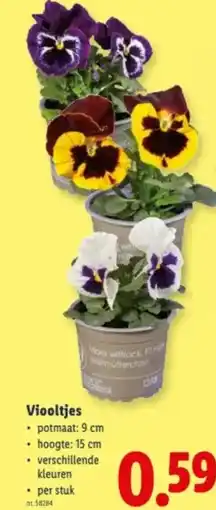 Lidl Viooltjes aanbieding