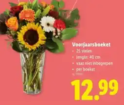 Lidl Voorjaarsboeket aanbieding