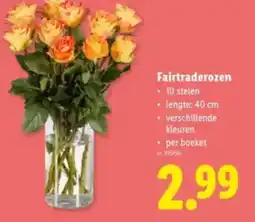 Lidl Fairtraderozen aanbieding
