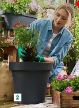 Lidl 1. & 2. Bloempot aanbieding