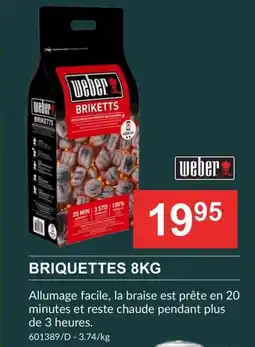 HandyHome Weber Briquettes aanbieding