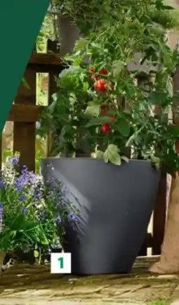 Lidl 1. & 2. Bloempot aanbieding