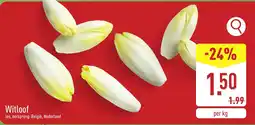 ALDI Witloof aanbieding