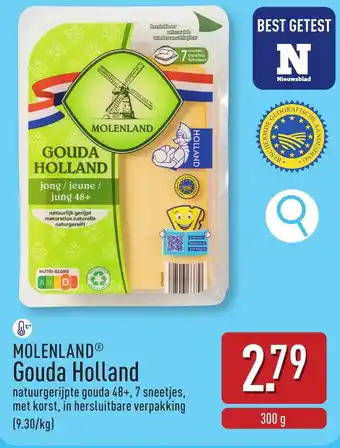 Molenland gouda holland