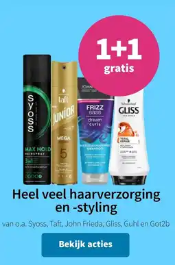 Plein.nl Heel veel haarverzorging en styling aanbieding
