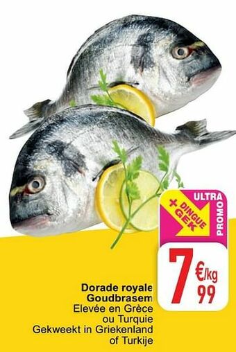 Cora Dorade royale goudbrasem aanbieding
