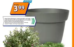 Action Deze Chloe bloempot aanbieding