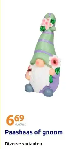 Action Paashaas of gnoom aanbieding