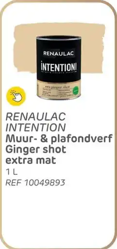 Brico Renaulac intention muur& plafondverf ginger shot extra mat aanbieding
