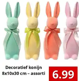 NH Market Decoratief konijn 8x10x30 cm – assorti aanbieding