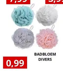 NH Market BADBLOEM DIVERS aanbieding