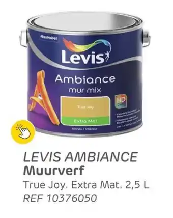 Levis Ambiance Muurverf