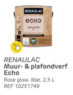 Brico Renaulac Muur & Plafondverf Echo aanbieding