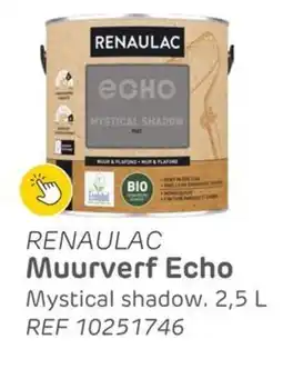 Brico Renaulac Muurverf Echo aanbieding