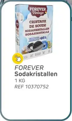 Brico Forever Sodakristallen aanbieding