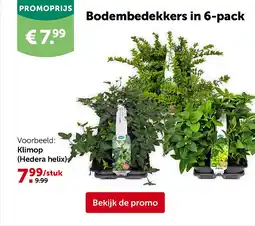 AVEVE Bodembedekkers in 6-pack aanbieding