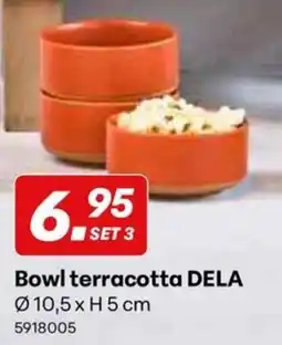 Supra Bazar Bowl terracotta Dela aanbieding