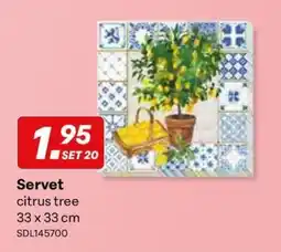 Supra Bazar Servet citrus tree aanbieding