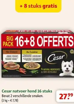 Maxi Zoo Cesar natvoer hond 16 stuks aanbieding