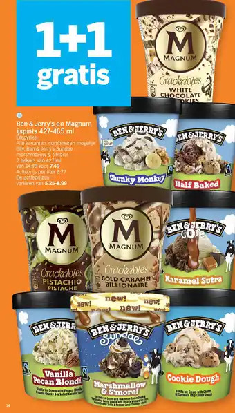 Ben & Jerry's en Magnum ijspints 427-465 ml