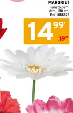 Trafic Margriet aanbieding