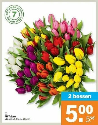 Albert Heijn Ah tulpen aanbieding