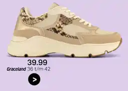 vanHaren Graceland aanbieding