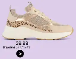 vanHaren Graceland aanbieding