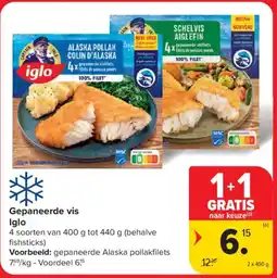 Carrefour Market Gepaneerde vis iglo aanbieding