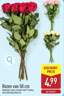 ALDI Rozen aanbieding