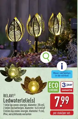 ALDI Belavi ledwaterlelies aanbieding