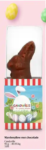 Delhaize Marshmallow met chocolade aanbieding