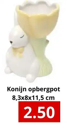 NH Market Konijn opbergpot aanbieding