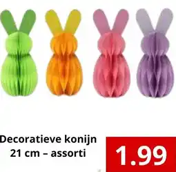 NH Market Decoratieve konijn assorti aanbieding