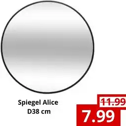 NH Market Spiegel Alice aanbieding