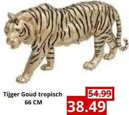 NH Market Tijger Goud tropisch aanbieding