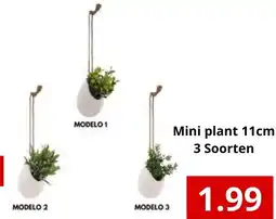 NH Market Mini plant aanbieding