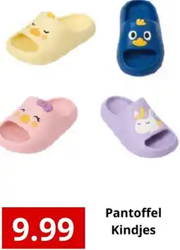 NH Market Pantoffel Kindjes aanbieding