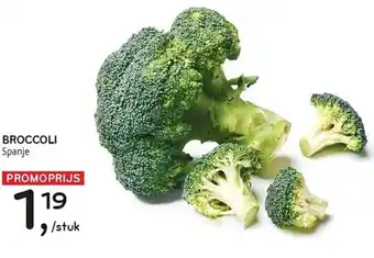 Alvo Broccoli aanbieding
